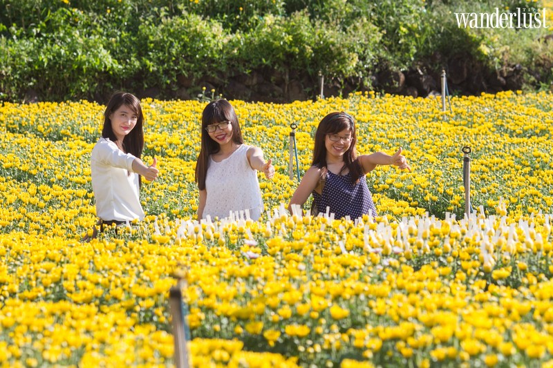 Mê Linh: Làng hoa lớn nhất Hà Nội khiến bạn khỏi phải mơ tới Đà Lạt 9 Tạp chí Du lịch Wanderlust Tips | Mê Linh: Làng hoa lớn nhất Hà Nội khiến bạn khỏi phải mơ tới Đà Lạt