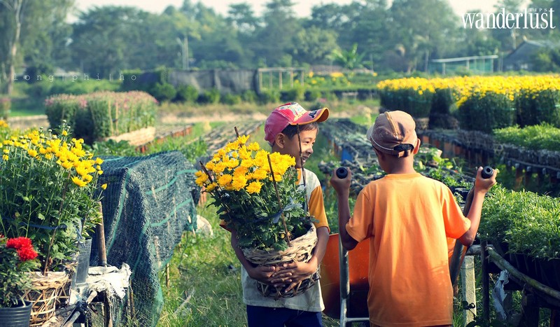 Mê Linh: Làng hoa lớn nhất Hà Nội khiến bạn khỏi phải mơ tới Đà Lạt 8 Tạp chí Du lịch Wanderlust Tips | Mê Linh: Làng hoa lớn nhất Hà Nội khiến bạn khỏi phải mơ tới Đà Lạt