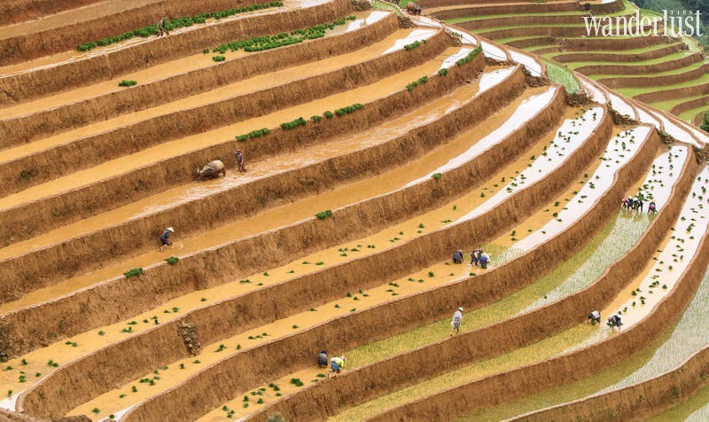 4 bức ảnh Việt Nam lọt top đẹp nhất thế giới 6 Tạp chí Du lịch Wanderlust Tips | 4 bức ảnh Việt Nam lọt top đẹp nhất thế giới