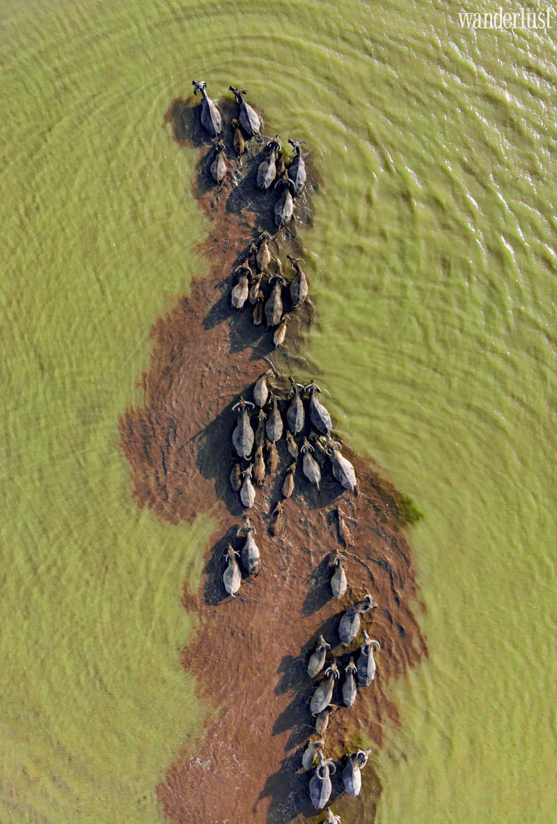 4 bức ảnh Việt Nam lọt top đẹp nhất thế giới 7 Tạp chí Du lịch Wanderlust Tips | 4 bức ảnh Việt Nam lọt top đẹp nhất thế giới