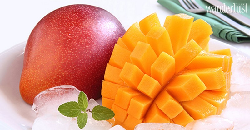 Tạp chí Du lịch Wanderlust Tips | Bò Kobe, xoài đỏ Miyazaki và những món ăn đắt đỏ tại Nhật Bản