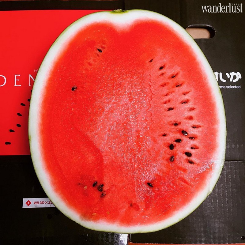 Tạp chí Du lịch Wanderlust Tips | Bò Kobe, xoài đỏ Miyazaki và những món ăn đắt đỏ tại Nhật Bản