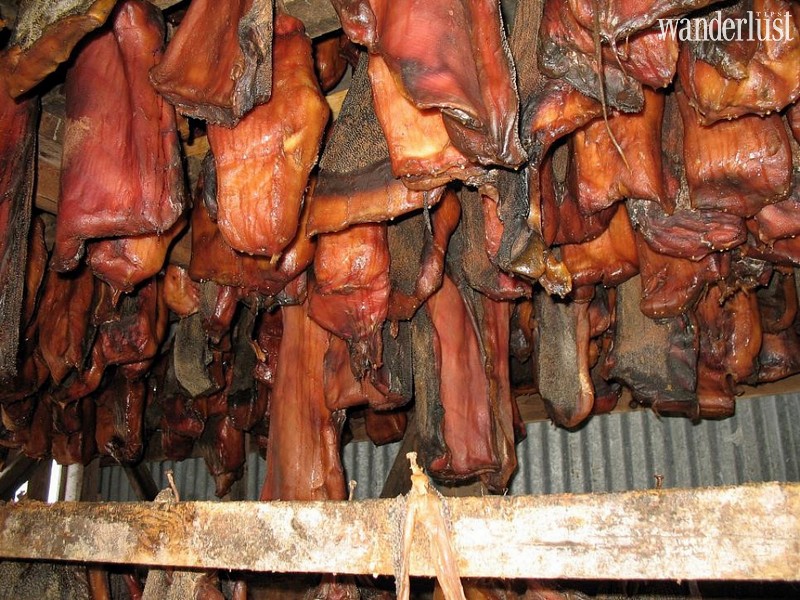 Tạp chí Du lịch Wanderlust Tips | Điểm danh 9 món ăn kỳ lạ nhất trên thế giới