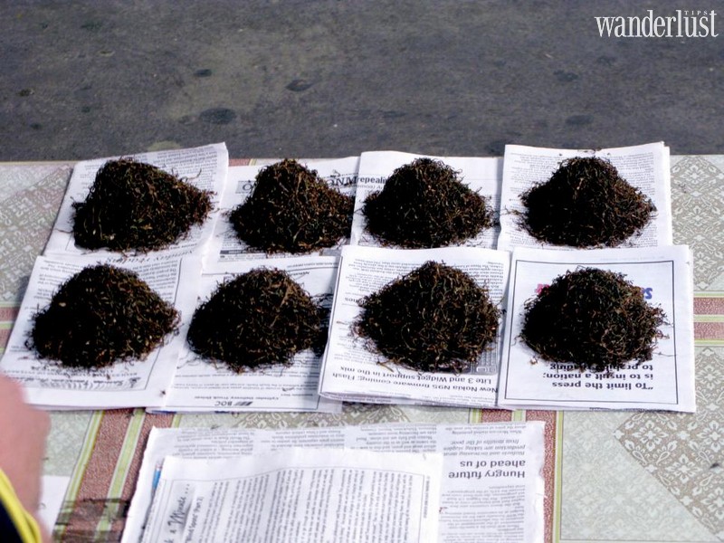 Tạp chí Du lịch Wanderlust Tips | Điểm danh 9 món ăn kỳ lạ nhất trên thế giới