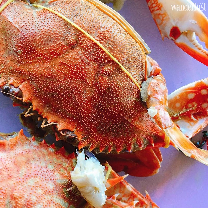 wanderlust tips hai san tai dao ngoc phu quoc co gi dac biet 05