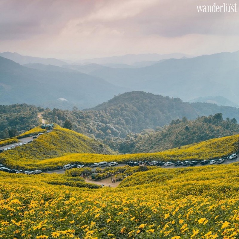 Mae Hong Son: Lạc bước giữa đồi hoa dã quỳ vàng rực 10 Tạp chí Du lịch Wanderlust Tips | Mae Hong Son (Thái Lan): Lạc bước giữa đồi hoa dã quỳ vàng rực