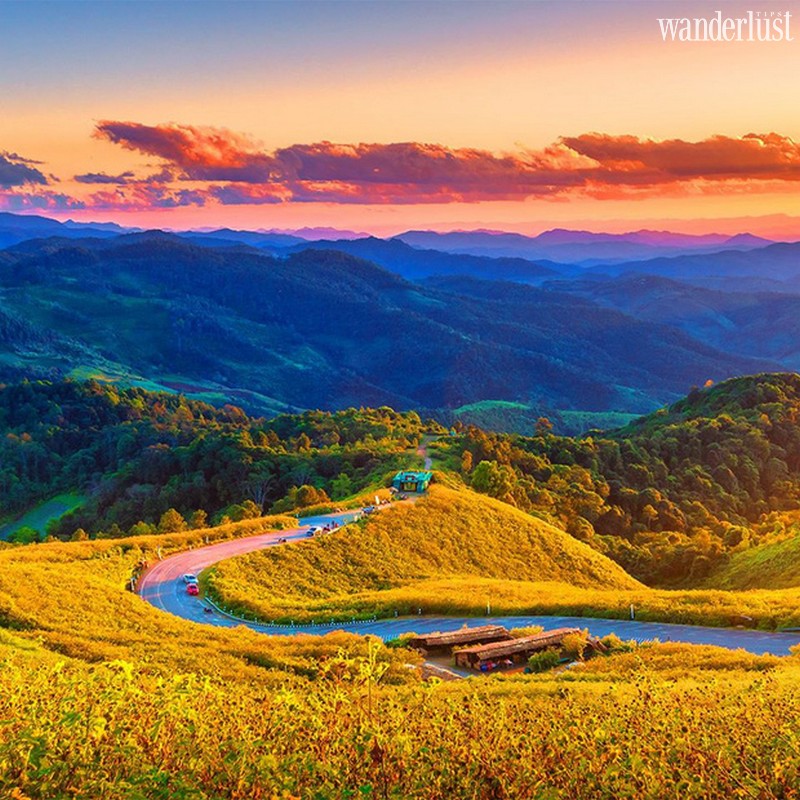 Mae Hong Son: Lạc bước giữa đồi hoa dã quỳ vàng rực 14 wanderlust tips mae hong son thai lan lac buoc giua doi hoa da quy vang ruc 10