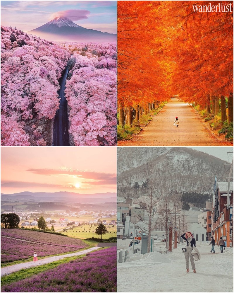 Nhật Bản đêm đông đẹp nao lòng qua ống kính của nhiếp ảnh gia Teemu 5 Tạp chí Du lịch Wanderlust Tips | Nhật Bản đêm đông đẹp nao lòng qua ống kính của nhiếp ảnh gia Teemu