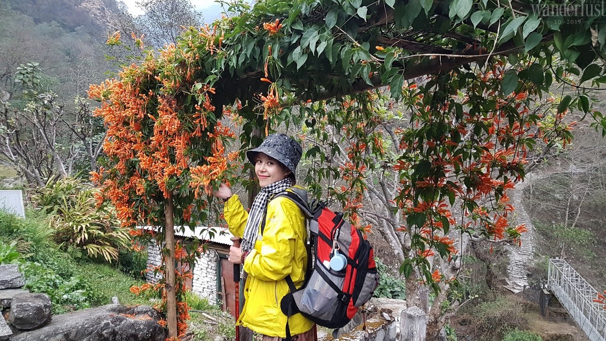 Share the love: Châu Á diệu kỳ 7 Tạp chí Du lịch Wanderlust Tips | Share the love: Châu Á diệu kỳ