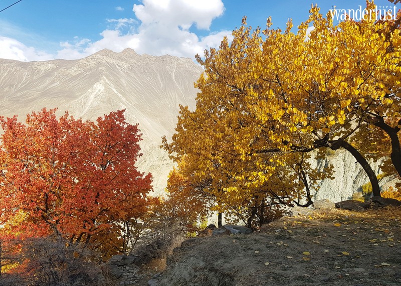 Tạp chí Du lịch Wanderlust Tips | Pakistan, đầy bất ngờ và cuốn hút