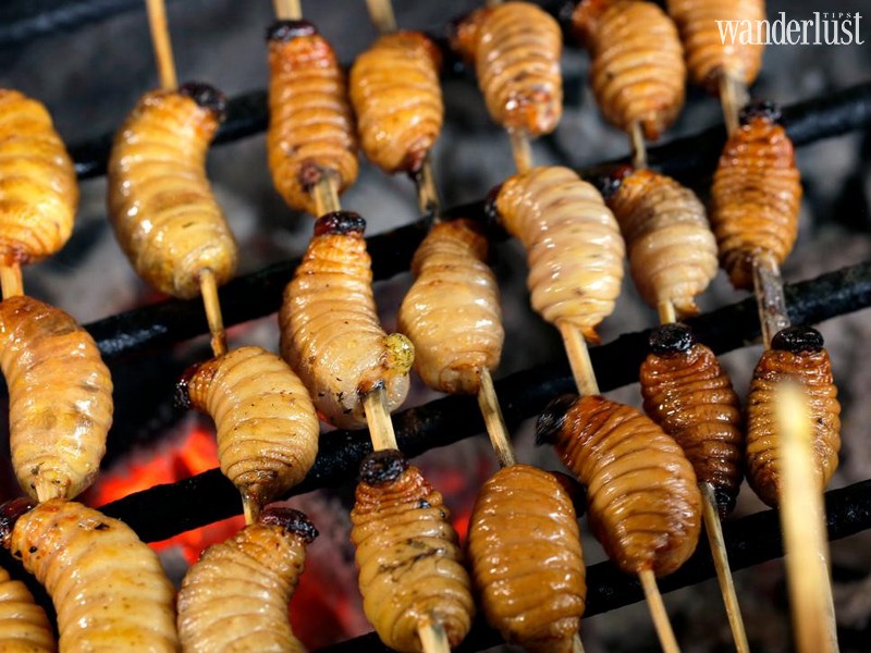 Tạp chí Du lịch Wanderlust Tips | Điểm danh 9 món ăn kỳ lạ nhất trên thế giới