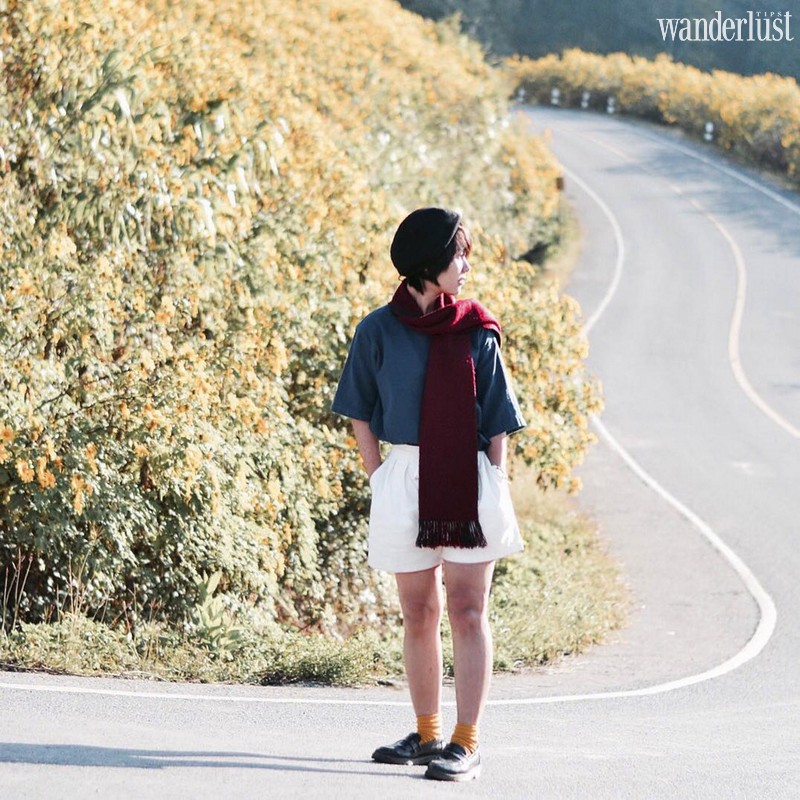 Tạp chí Du lịch Wanderlust Tips | Mae Hong Son (Thái Lan): Lạc bước giữa đồi hoa dã quỳ vàng rực