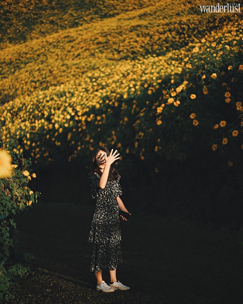 Tạp chí Du lịch Wanderlust Tips | Mae Hong Son (Thái Lan): Lạc bước giữa đồi hoa dã quỳ vàng rực