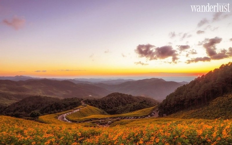 wanderlust tips mae hong son thai lan lac buoc giua doi hoa da quy vang ruc 07 1