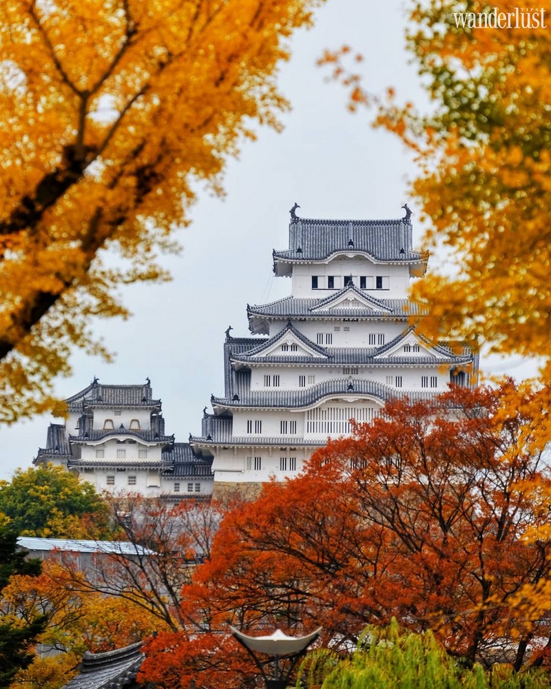 Chiêm ngưỡng lâu đài Hạc Trắng: Quốc bảo trăm tuổi của Nhật Bản 11 wanderlust tips chiem nguong lau dai hac trang quoc bao tram tuoi cua nhat ban 07
