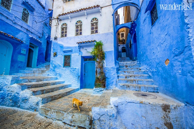 Tạp chí Du lịch Wanderlust Tips | Thị trấn Chefchaouen: Điểm đến ngập tràn sắc xanh cổ điển