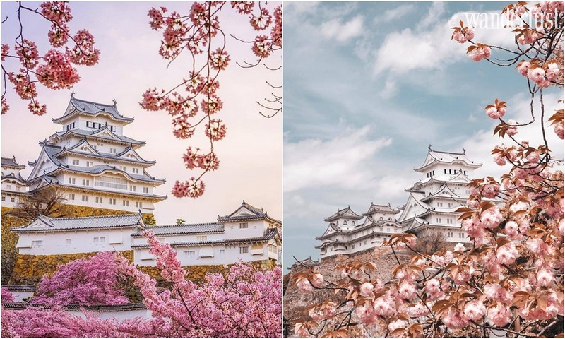 Tạp chí Du lịch Wanderlust Tips | Chiêm ngưỡng lâu đài Hạc Trắng - quốc bảo trăm tuổi của Nhật Bản 