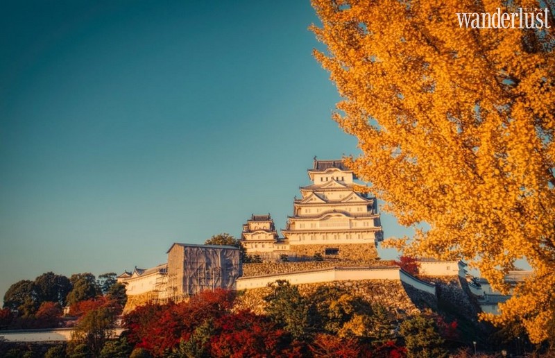 Tạp chí Du lịch Wanderlust Tips | Chiêm ngưỡng lâu đài Hạc Trắng - quốc bảo trăm tuổi của Nhật Bản 