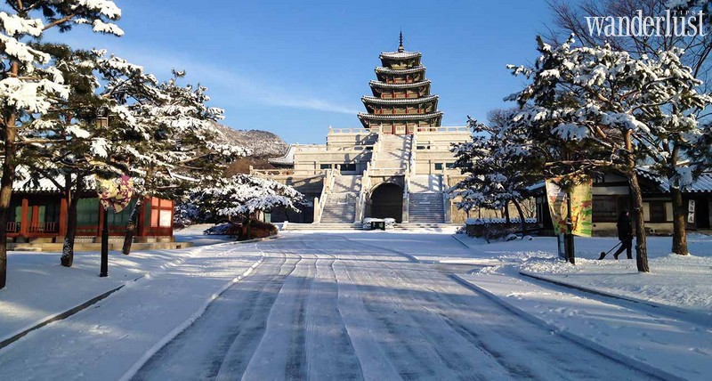 Tạp chí Du lịch Wanderlust Tips | Hàn Quốc: Miễn thị thực cho du khách Việt Nam quá cảnh