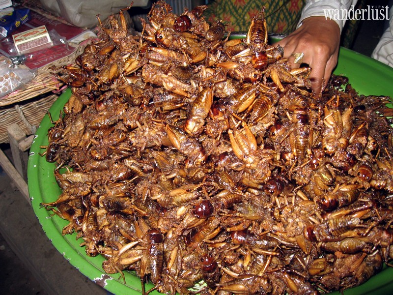 Tạp chí Du lịch Wanderlust Tips | Ngỡ ngàng với những món ăn đường phố lạ miệng tại Campuchia 
