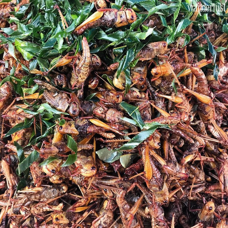 Tạp chí Du lịch Wanderlust Tips | Ngỡ ngàng với những món ăn đường phố lạ miệng tại Campuchia 