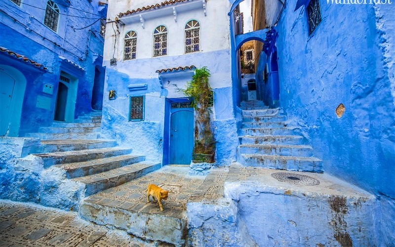 wanderlust tips thi tran chefchaouen diem den ngap tran sac xanh co dien3 1