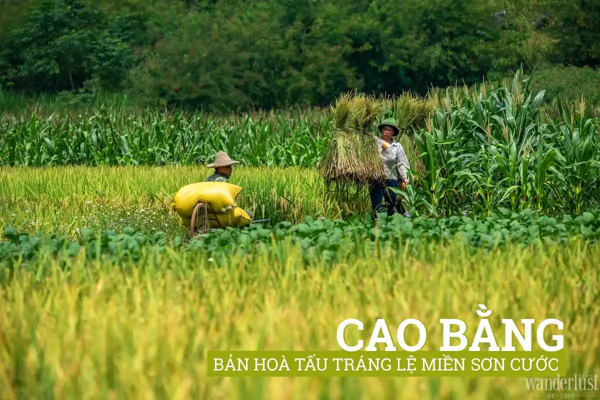 Tạp chí Du lịch Wanderlust Tips | Cao Bằng: Bản hòa tấu tráng lệ miền sơn cước