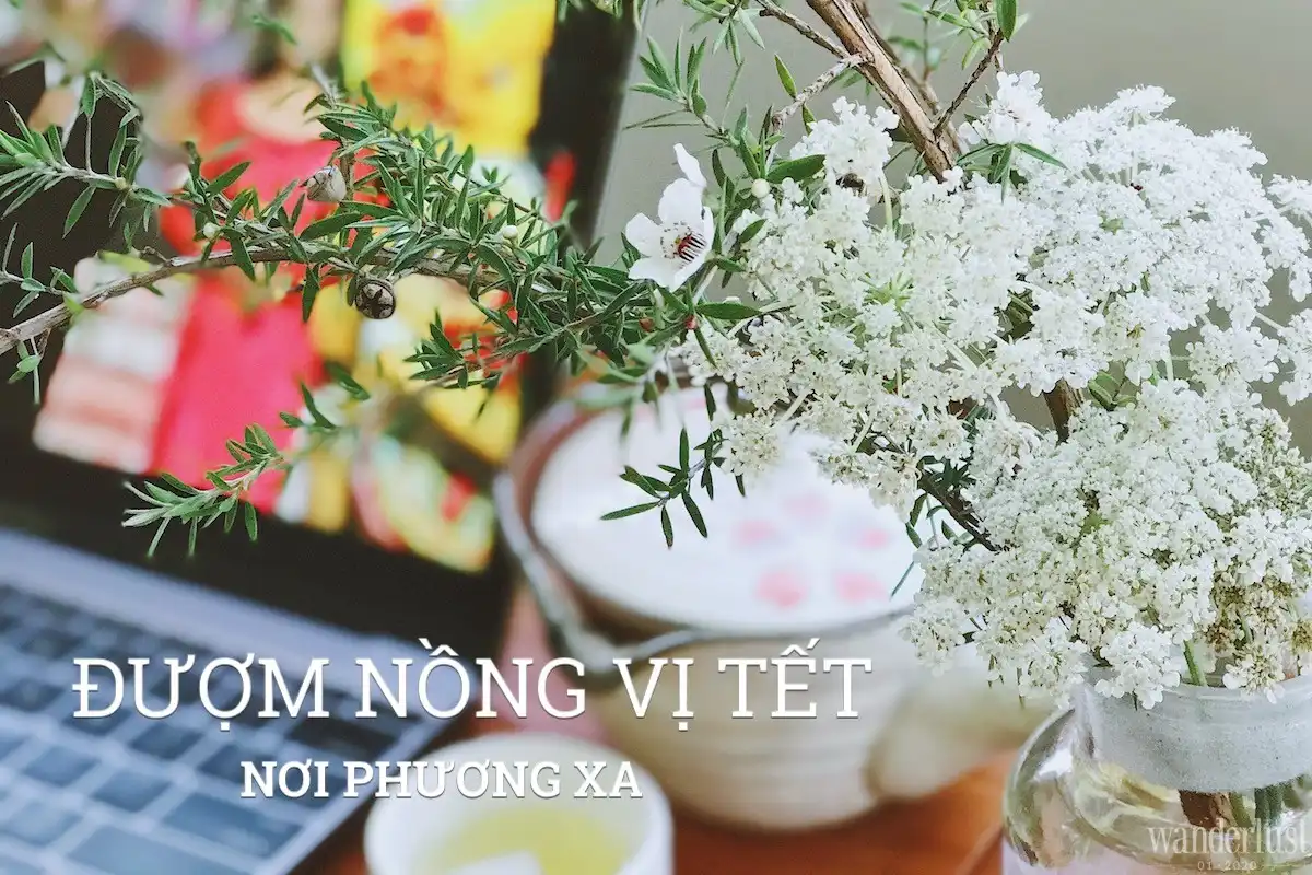 Tạp chí Du lịch Wanserlust Tips | Đượm nồng vị Tết nơi phương xa