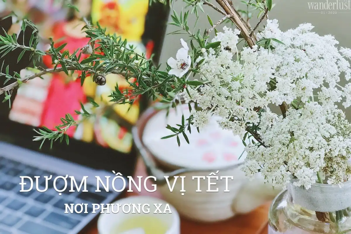 Tạp chí Wanderlust Tips 01/2020: Rực rỡ sắc xuân 9 Tạp chí du lịch Wanderlust Tips | Tạp chí Wanderlust Tips 01/2020: Rực rỡ sắc hoa xuân