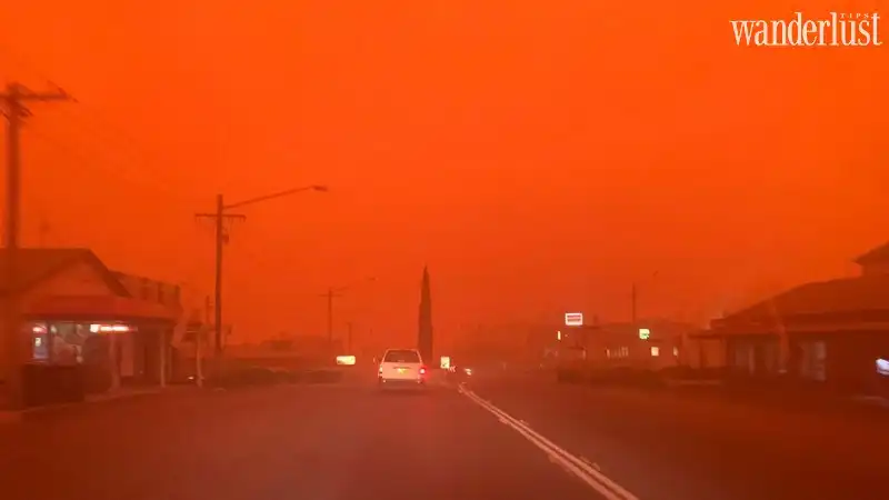Tạp chí Du lịch Wanderlust Tips | Đại thảm họa cháy rừng thiêu rụi gần nửa tỷ sinh vật