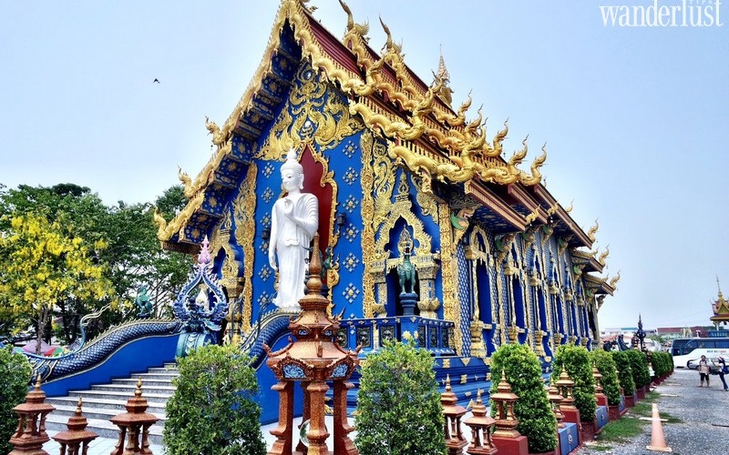 wanderlust tips den xanh choang ngop truoc mau xanh dat vang3 1