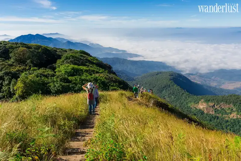 Top 5 vườn quốc gia thú vị nhất Thái Lan 8 Tạp chí Du lịch Wanderlust Tips |