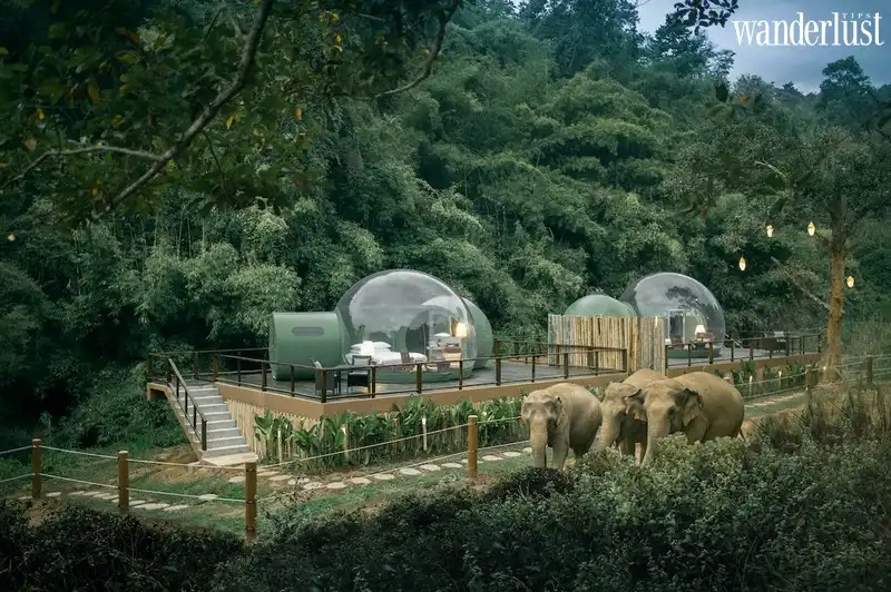 Anantara Golden Triangle Elephant Camp & Resort: Mở ra chốn thiên nhiên tuyệt đẹp của Chiang Rai 7 Tạp chí Du lịch Wanderlust Tips | Anantara Golden Triangle Elephant Camp & Resort: Mở ra chốn thiên nhiên tuyệt đẹp của Chiang Rai