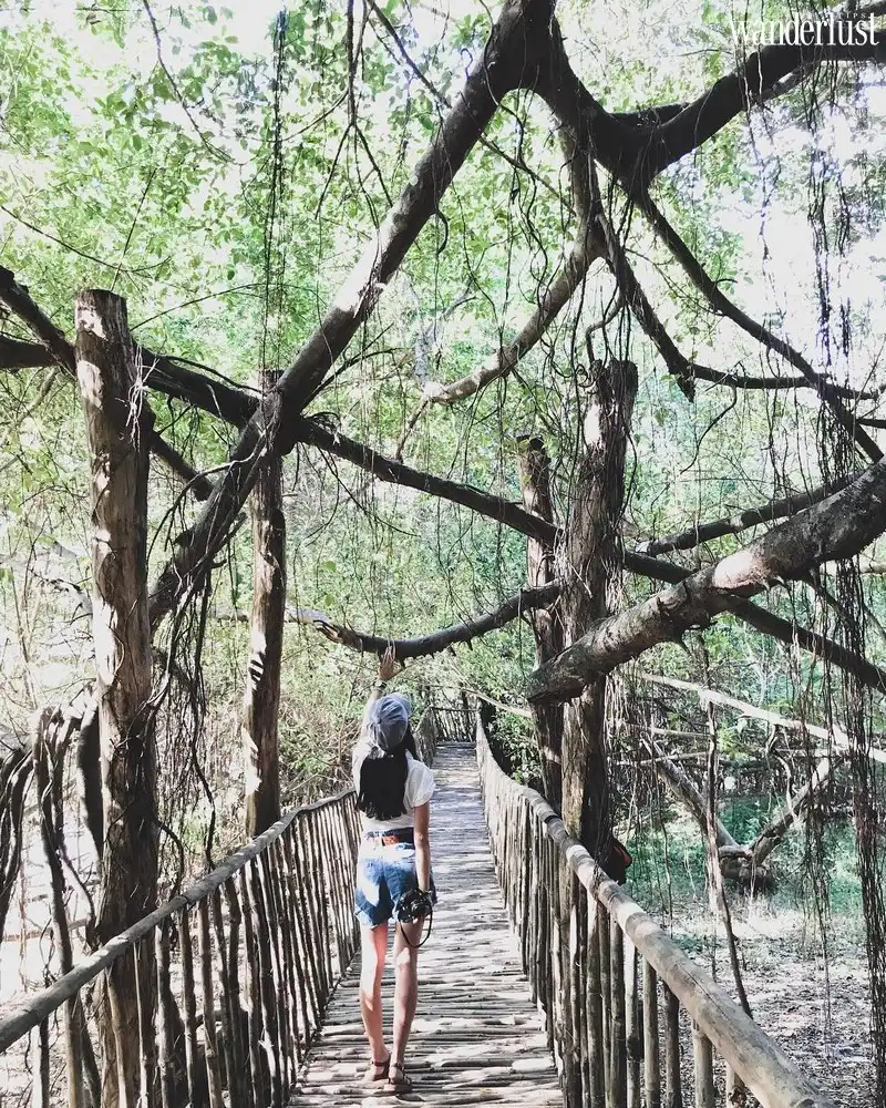 Buôn Ma Thuột và những điểm check in không thể bỏ qua 5 Tạp chí Du lịch Wanderlust Tips | Buôn Ma Thuật và những điểm check in không thể bỏ qua