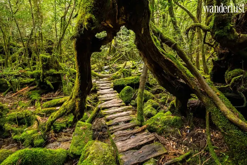 Tạp chí Du lịch Wanderlust Tips | Châu Á và những điểm đến ít ai biết tới