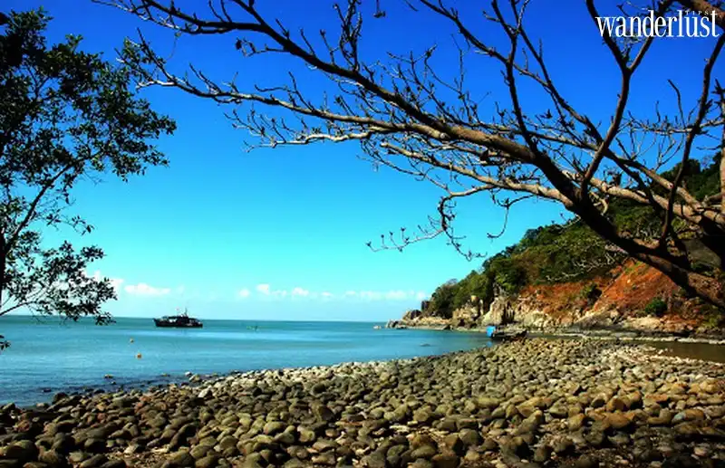 Cà Mau: Những điểm dừng chân hấp dẫn nơi cực Nam Tổ quốc 9 Tạp chí Du lịch Wanderlust Tips | Cà Mau: Những điểm dừng chân hấp dẫn nơi cực Nam Tổ quốc