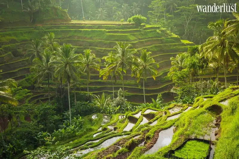 Top điểm đến siêu lãng mạn cho mùa Valentine 2020 9 Tạp chí Du lịch Wanderlust Tips |