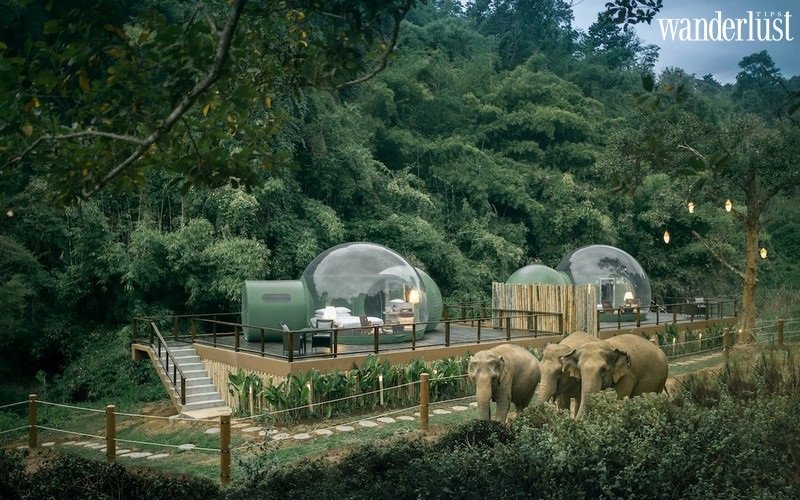 Anantara Golden Triangle Elephant Camp & Resort: Mở ra chốn thiên nhiên tuyệt đẹp của Chiang Rai