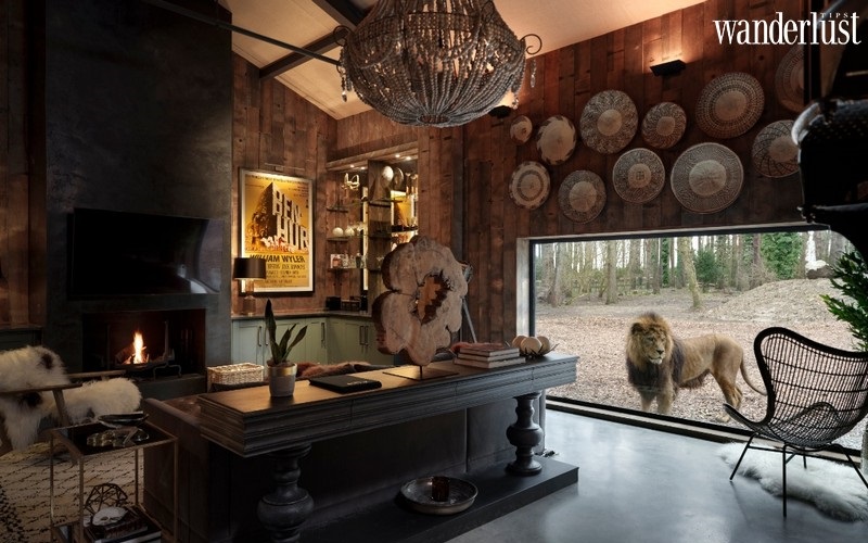 Port Lympne: Trải nghiệm trong khách sạn cùng hổ và sư tử tại Anh