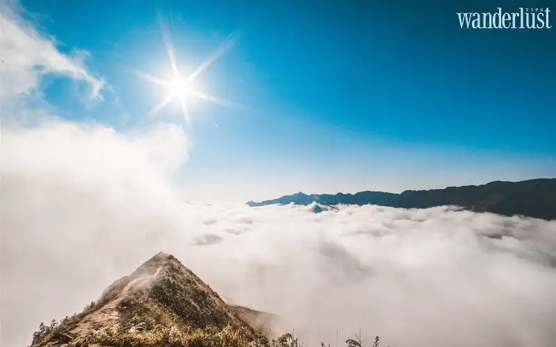 Tạp chí Du lịch Wanderlust Tips | Chinh phục “Sống lưng khủng long" tại Tà Xùa giữa tháng 3