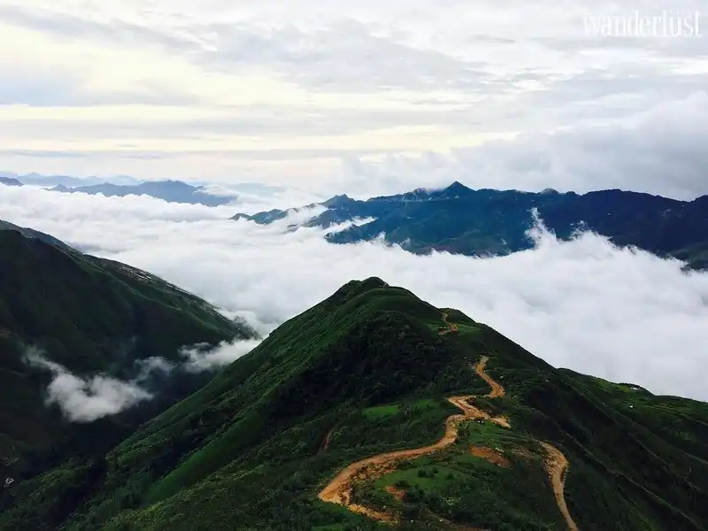 Chinh phục “Sống lưng khủng long" tại Tà Xùa giữa tháng 3 7 Tạp chí Du lịch Wanderlust Tips | Chinh phục “Sống lưng khủng long" tại Tà Xùa giữa tháng 3