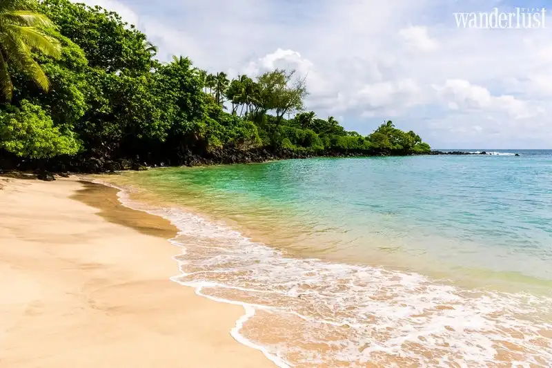Tạp chí Du lịch Wanderlust Tips | 5 bãi biển đẹp nhất Maui, Hawaii