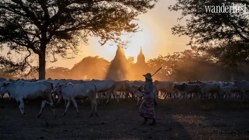 Tạp chí Du lịch Wanderlust Tips 