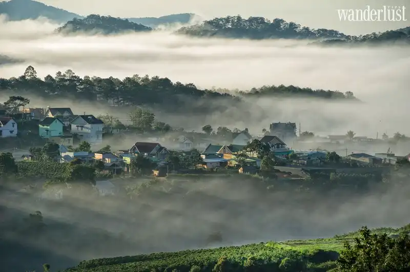 Bỏ túi kinh nghiệm khám phá Lâm Đồng xinh đẹp 8 Tạp chi Du lịch Wanderlust Tips | Bỏ túi kinh nghiệm khám phá Lâm Đồng xinh đẹp