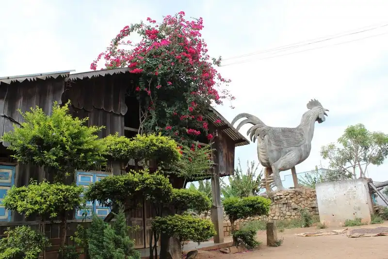 Bỏ túi kinh nghiệm khám phá Lâm Đồng xinh đẹp 12 wanderlust tips bo tui kinh nghiem kham pha lam dong xinh dep5