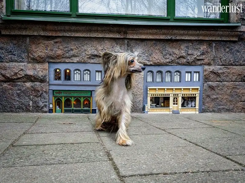 Tạp chí Du lịch Wanderlust Tips | Chuỗi cửa hàng tí hon siêu đáng yêu tại Thụy Điển