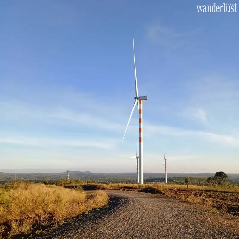 Đi dọc Việt Nam và check in tại những cánh đồng quạt gió yên bình 10 Tạp chí Du lịch Wanderlust Tips | Đi dọc Việt Nam và check in tại những cánh đồng quạt gió yên bình