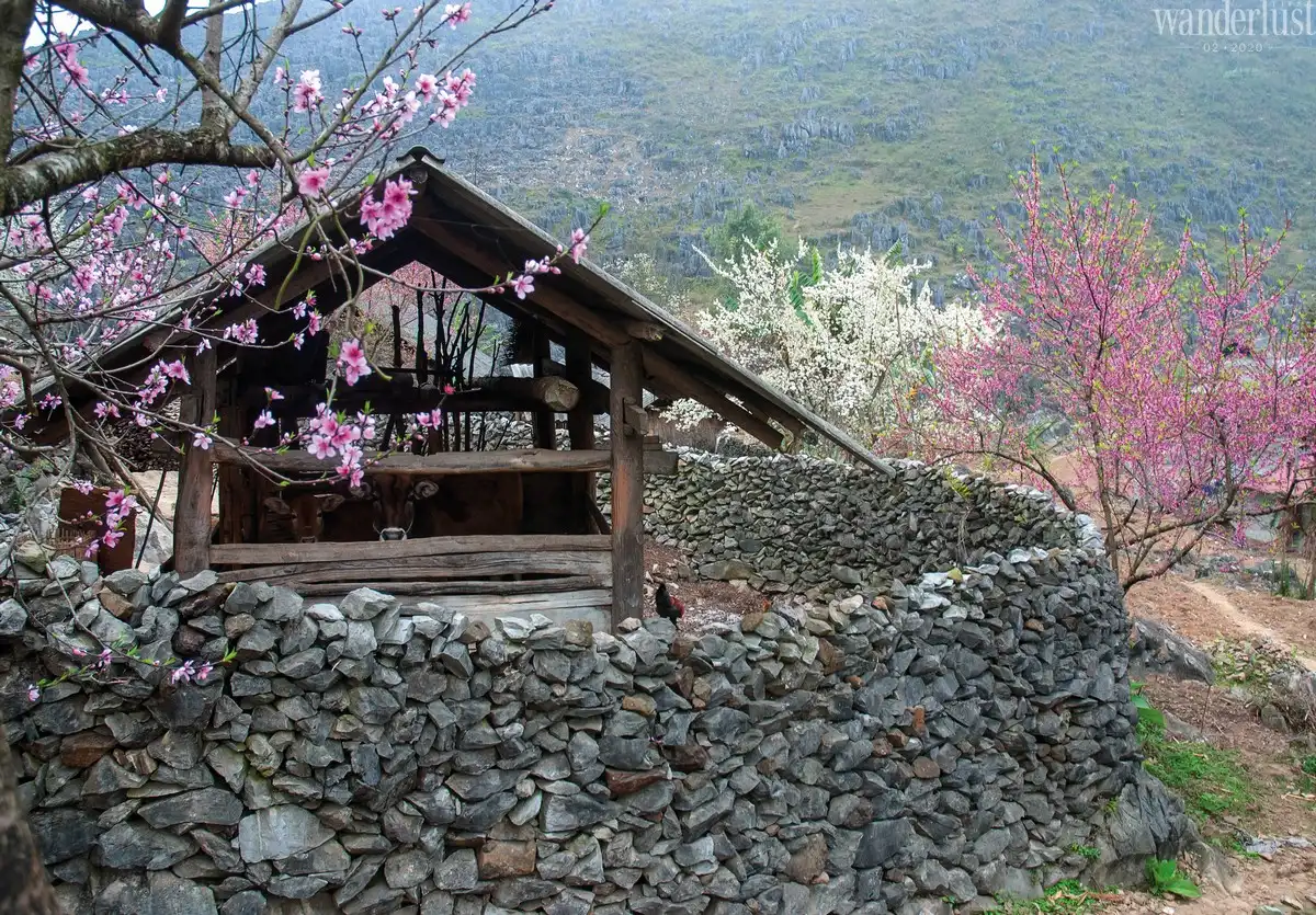 Tạp chí Du lịch Wanderlust Tips 