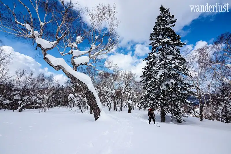 Tạp chí Du lịch Wanderlust Tips | Kinh nghiệm du lịch Hokkaido: Tận hưởng vẻ đẹp hoàn mỹ