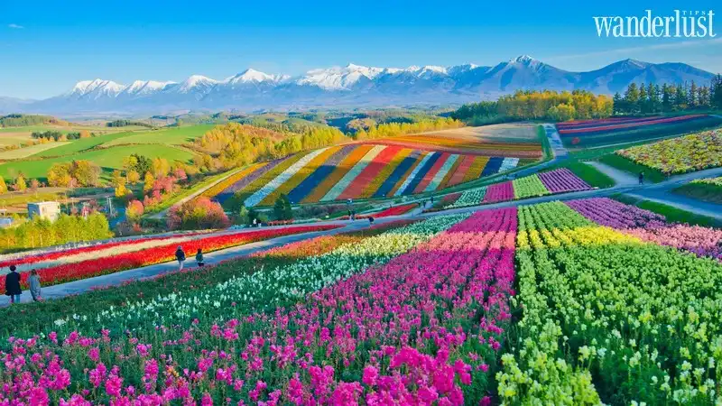 Tạp chí Du lịch Wanderlust Tips | Kinh nghiệm du lịch Hokkaido: Tận hưởng vẻ đẹp hoàn mỹ